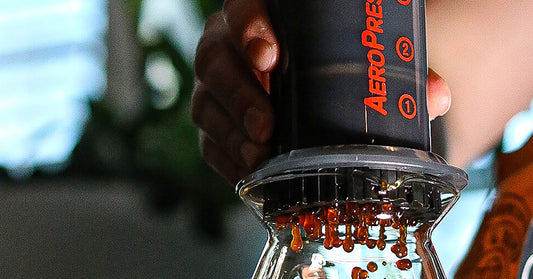 Pressing Fresh Coffee with an AeroPress Go