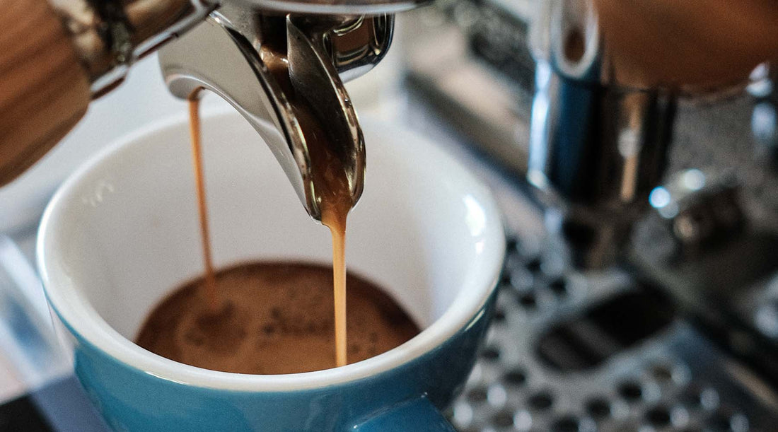 Extracting espresso from the barista's trusty La Marzocco